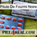 Black Ant Pill 36